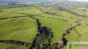 Terreno 32 ettari, Vignola