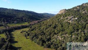 Terreno San Biagio, Aglientu